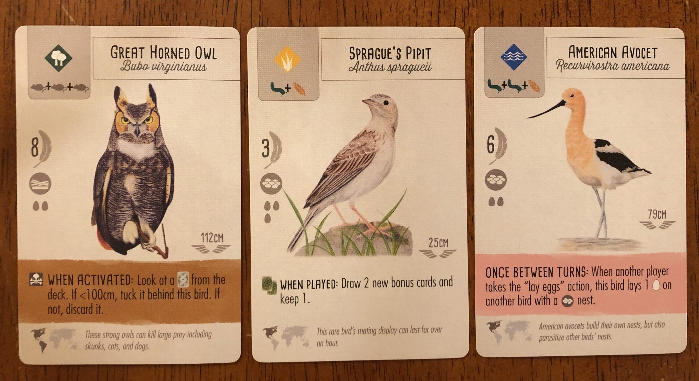 Three bird cards from Wingspan game