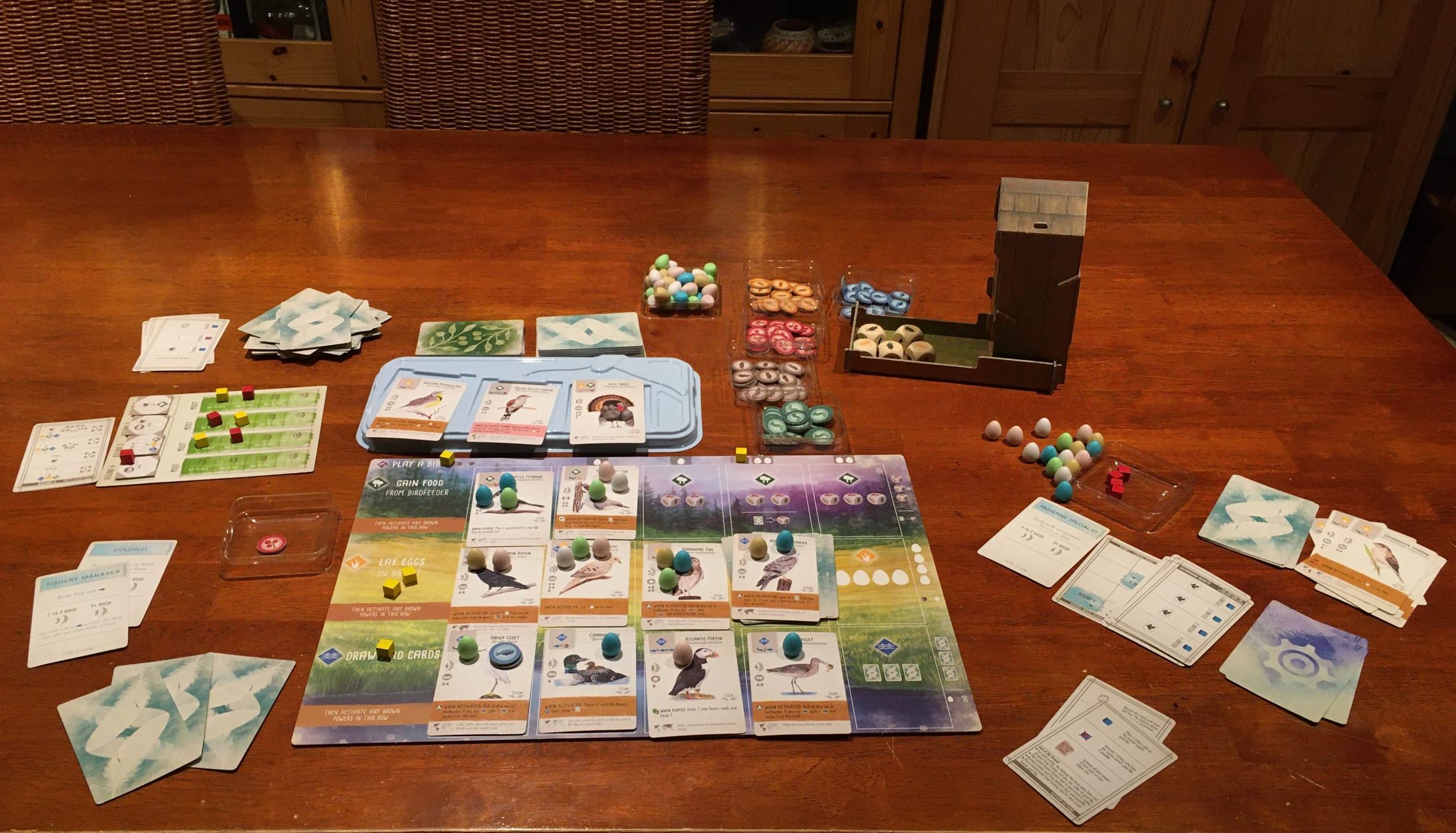 Wingspan single player game version Automa in play